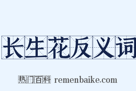 长生花反义词是什么意思的图片